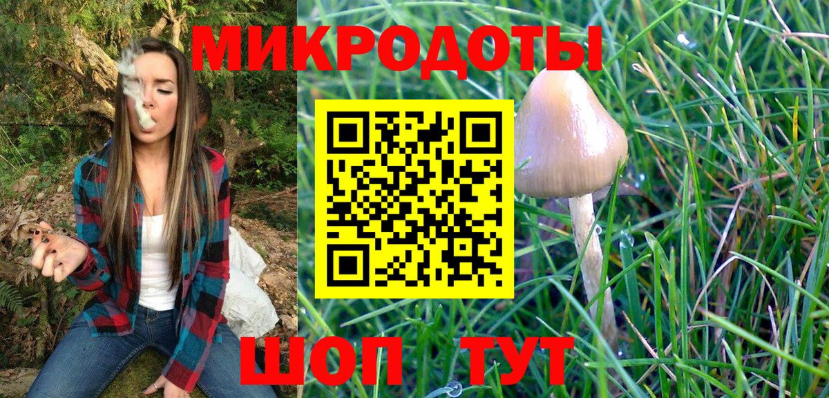 Галлюциногенные грибы Psilocybe Нурлат